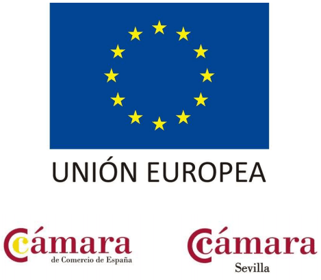 ue camara comercio